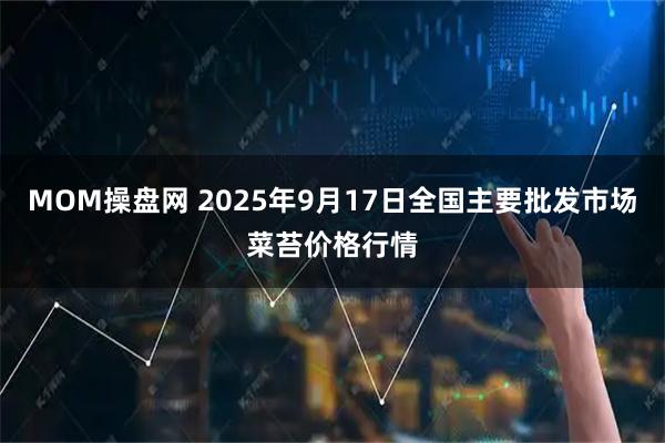 MOM操盘网 2025年9月17日全国主要批发市场菜苔价格行情