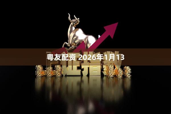 粤友配资 2026年1月13